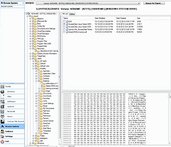 Access Data Triage Agent