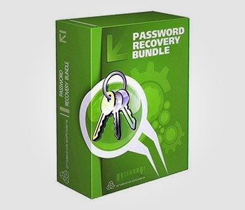 Password Recovery Solution